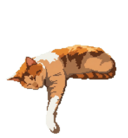 Pixel the cat